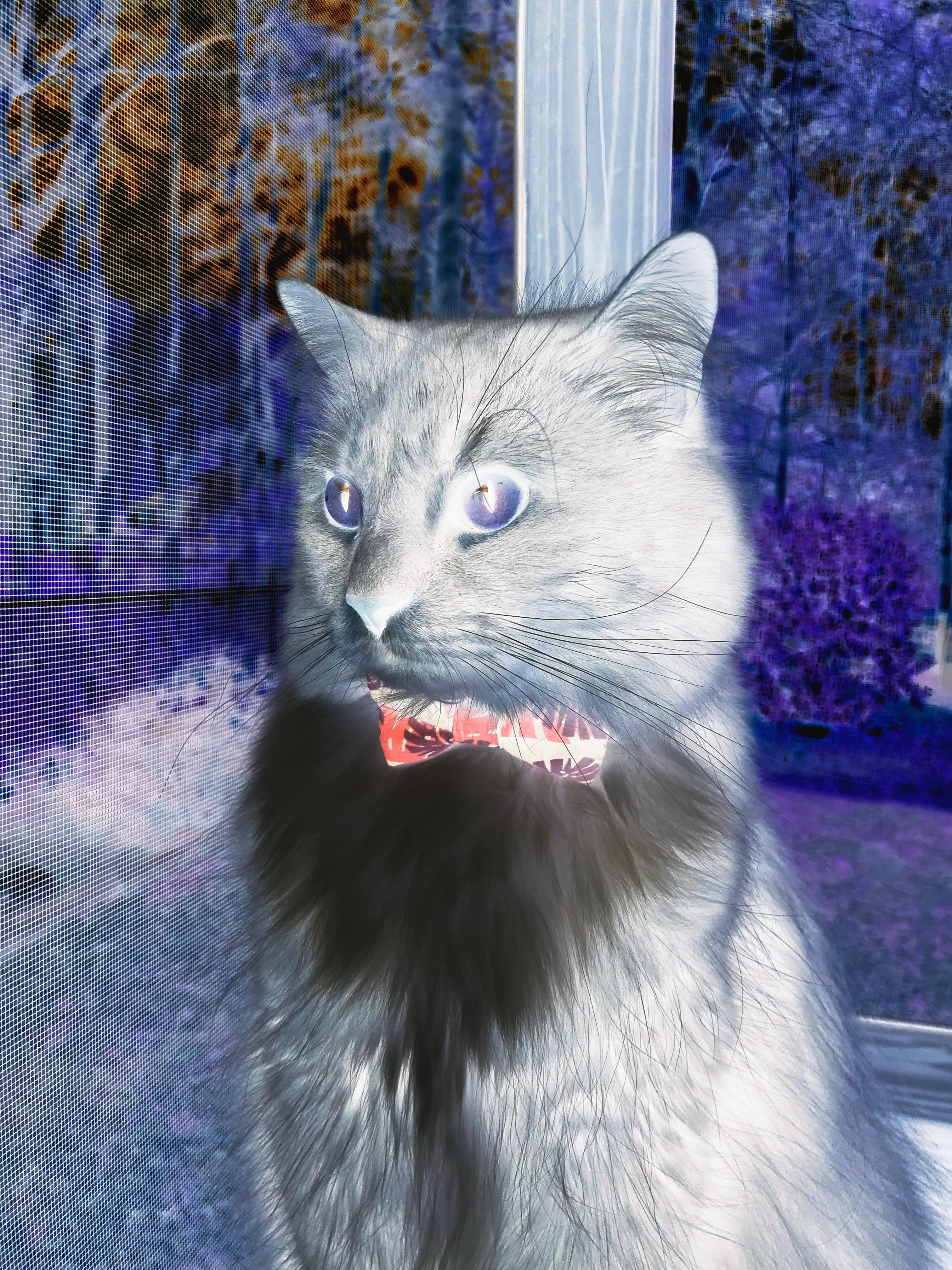 爱游戏电竞官网-“中国足球青训学院正式揭牌，培养未来之星”，中国足球青训学校