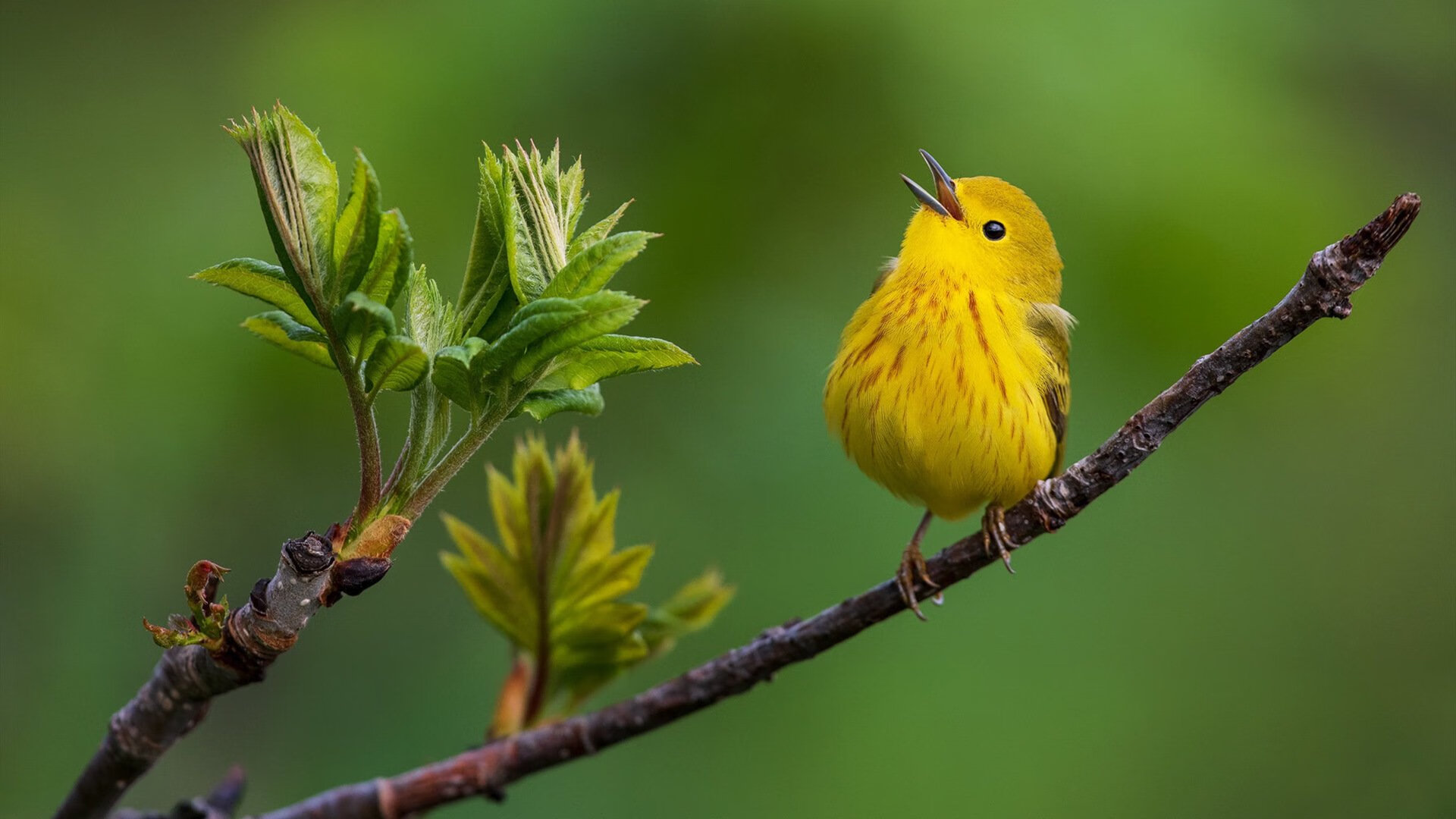 爱游戏电竞官网-“逆转瞬间：逆风翻盘的经典奇迹”，逆风反转什么意思